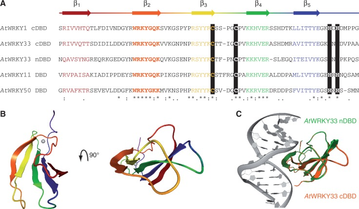 Homology modeling involves using predictive softwares to infer protein structure from DNA sequence alone